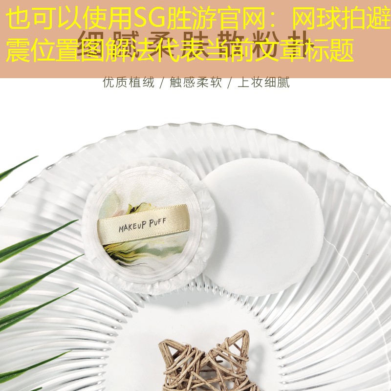 網(wǎng)球拍避震位置圖解法